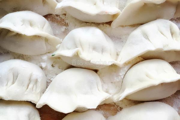 黄瓜饺子的做法图解8