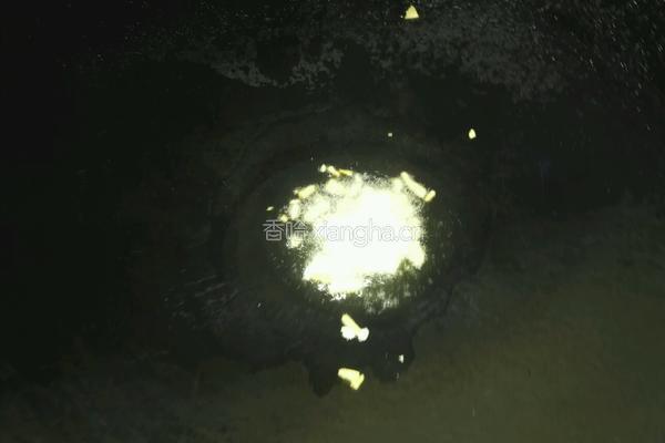 炒山药的做法图解4