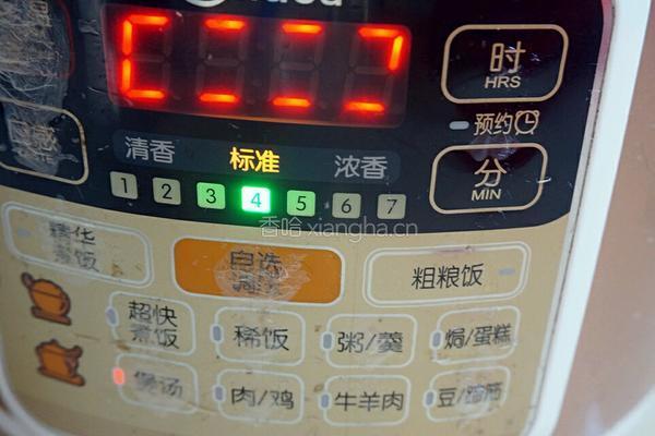 茶树菇炖鸡肉的做法图解7
