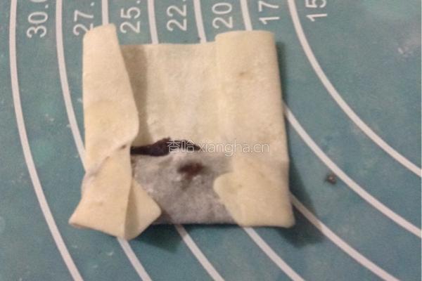 用馄饨皮做春卷的做法图解4