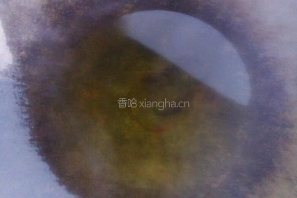 豆豉辣椒酱的做法图解4