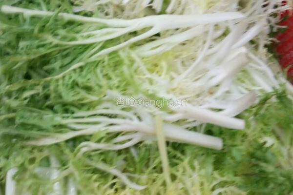 凉拌苦菊的做法图解1