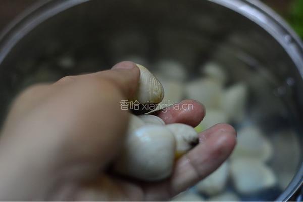 蛤蜊汤的做法图解5