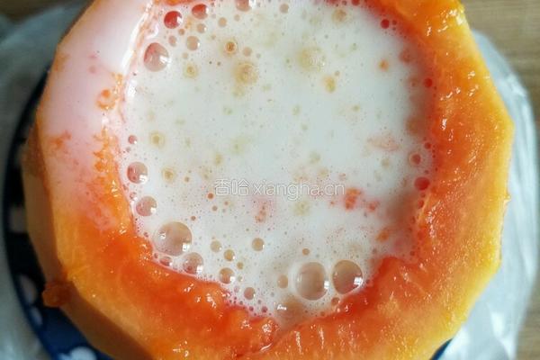 木瓜牛奶冻的做法图解7