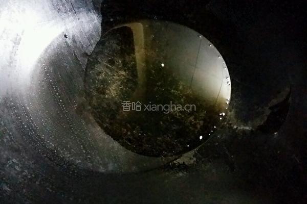 蒜泥龙虾的做法图解7