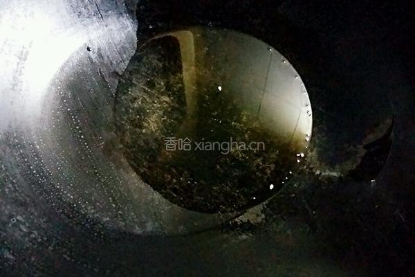 酸豆角炒鸡蛋的做法图解7