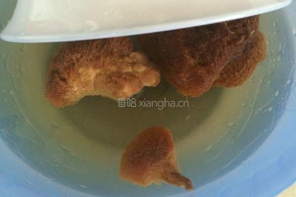 猴头菇炖鸡的做法图解2