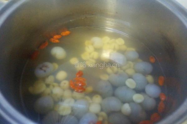 桂圆莲子汤的做法图解5