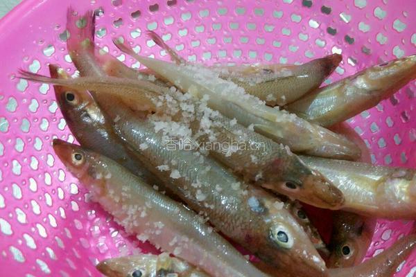 干煎沙丁鱼的做法图解1