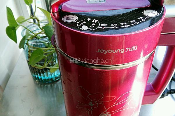 绿豆浆的做法图解3