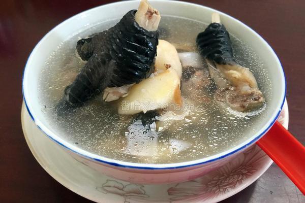 菱角鸡脚汤的做法图解8