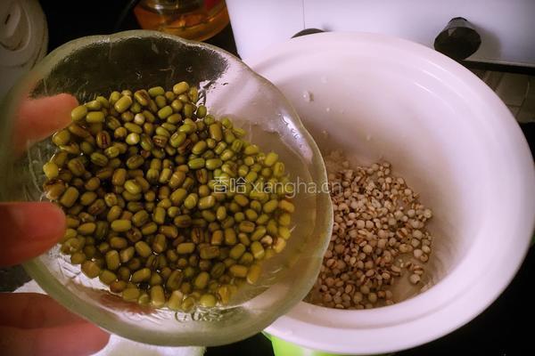薏米绿豆粥的做法图解6