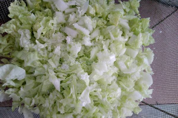 白菜素馅儿饺子的做法图解3