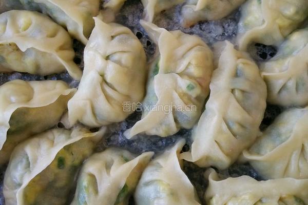 韭菜煎饺的做法图解16