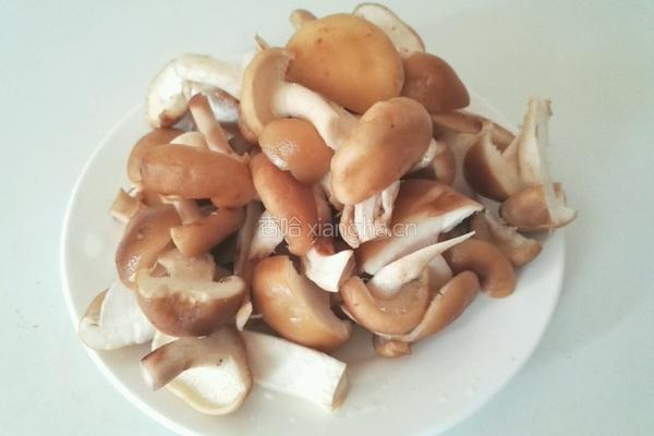 红烧鲜香菇的做法图解1