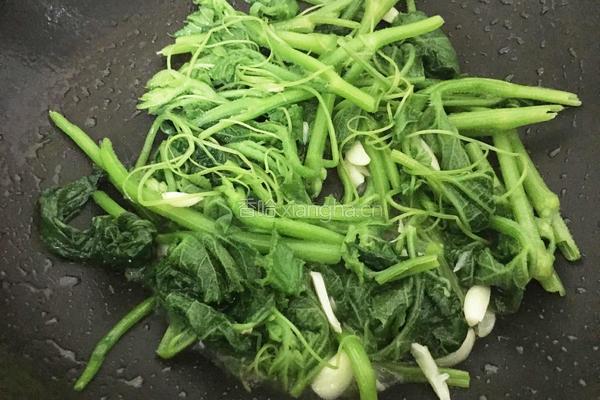 清炒南瓜秧的做法图解11