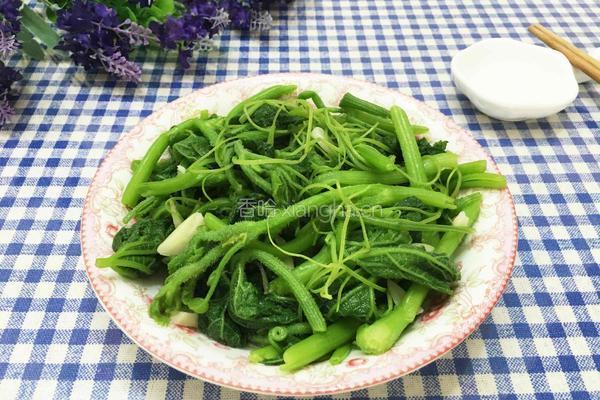 清炒南瓜秧的做法图解13