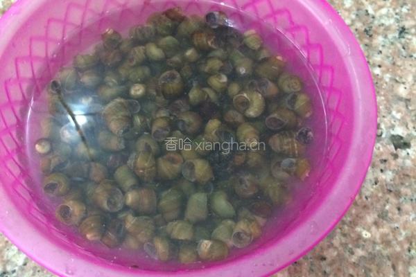 爆炒指甲螺的做法图解2