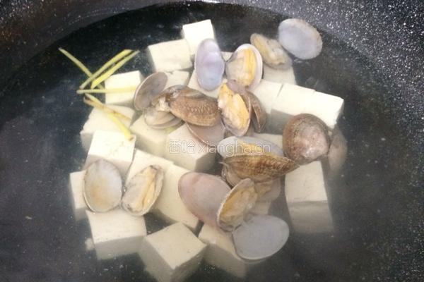 蛤蜊豆腐汤的做法图解5