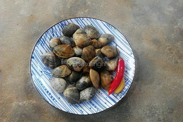 辣爆花蛤的做法图解1