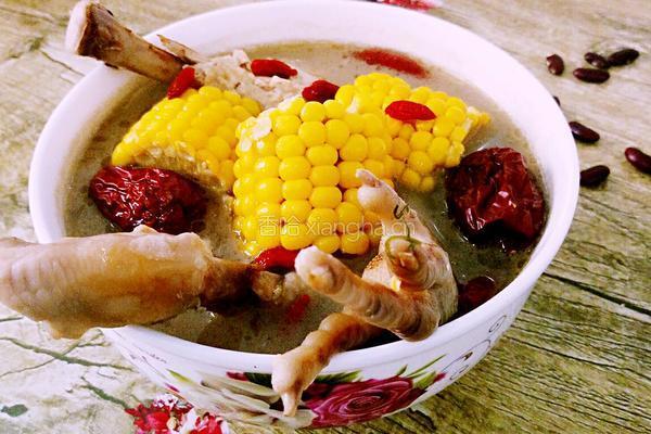 炖鸡汤的做法图解6