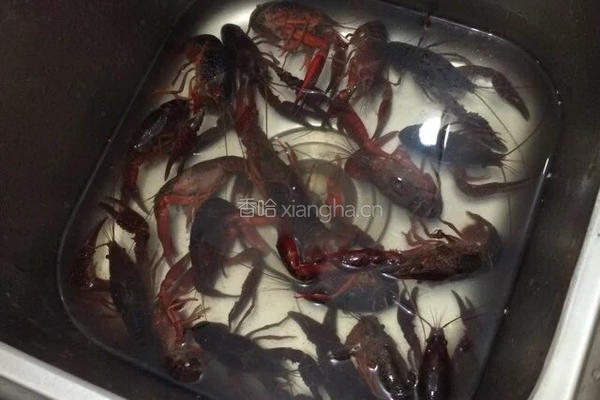 秘制小龙虾的做法图解1