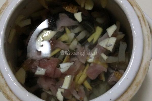 瘦肉丝炖老蛏的做法图解6