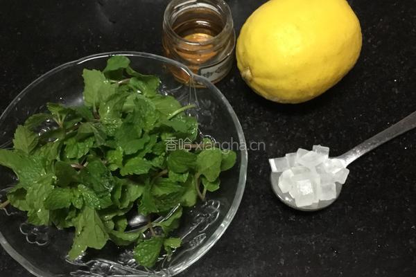 柠檬薄荷水的做法图解1