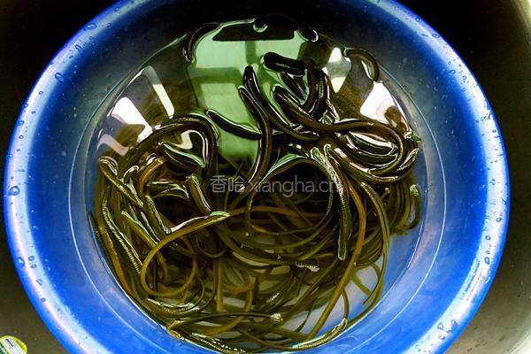 炝拌海带丝的做法图解1