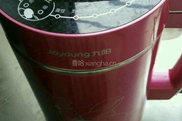 冬瓜茶的做法图解4