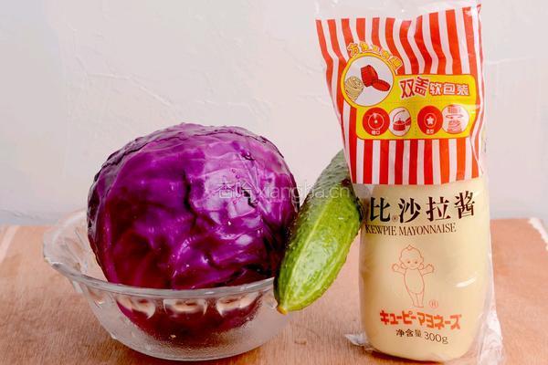 紫甘蓝沙拉的做法图解1