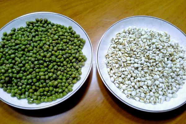 绿豆薏米糖水的做法图解1