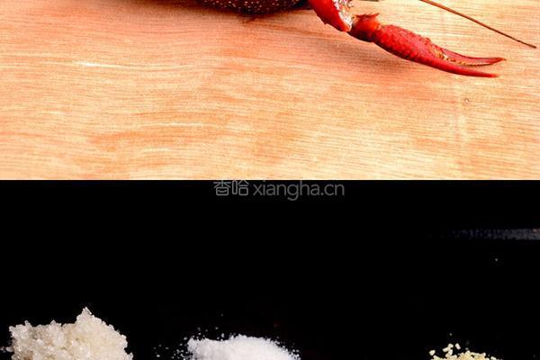 炒龙虾的做法图解4
