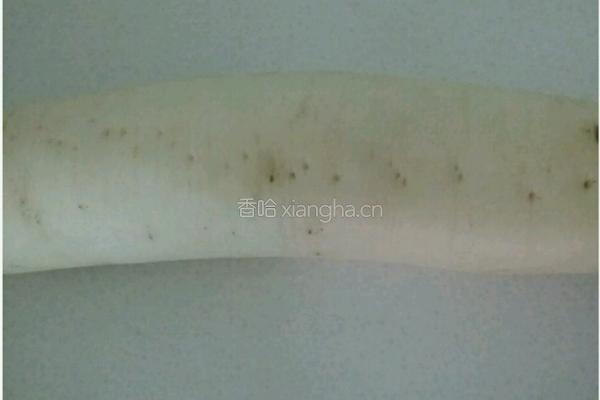 酸辣萝卜条的做法图解1