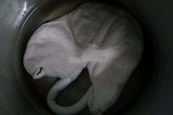 炒猪肚的做法图解5