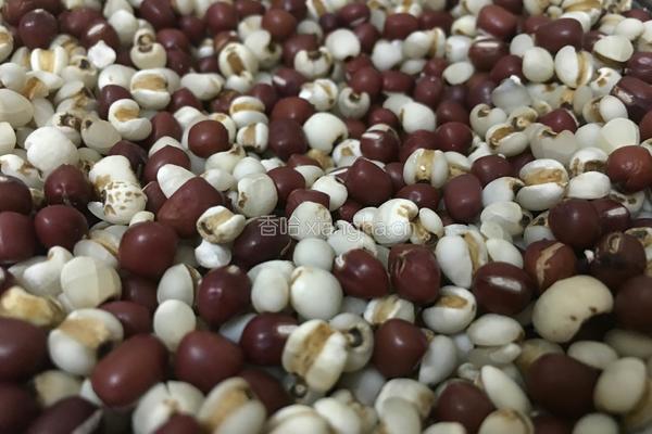 自制红豆薏米粉的做法图解6