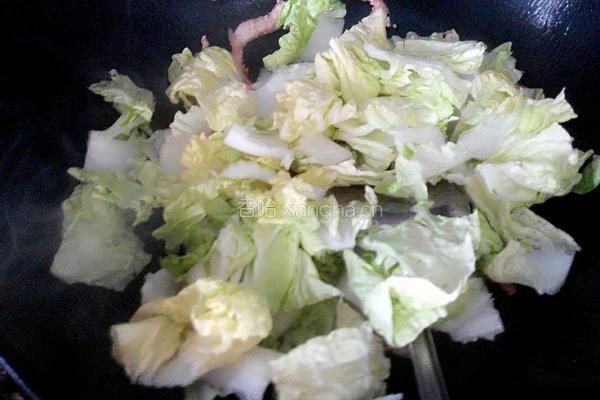 白菜炖肉的做法图解5