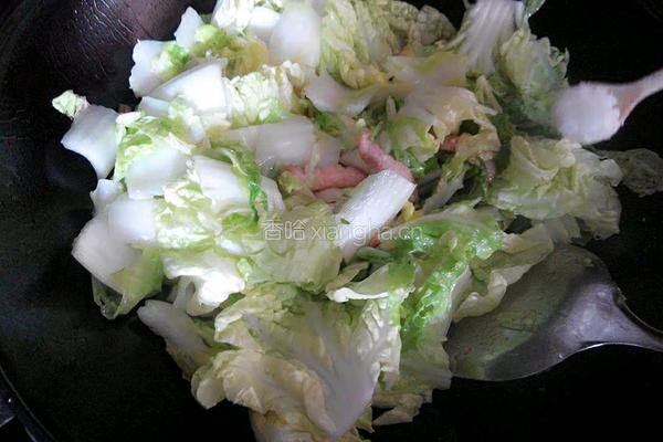 白菜炖肉的做法图解6