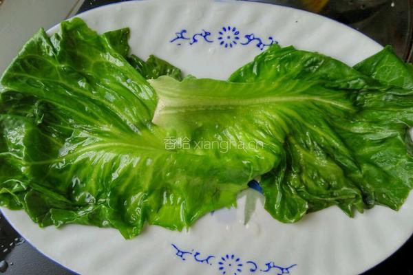 蒸肠粉的做法图解5