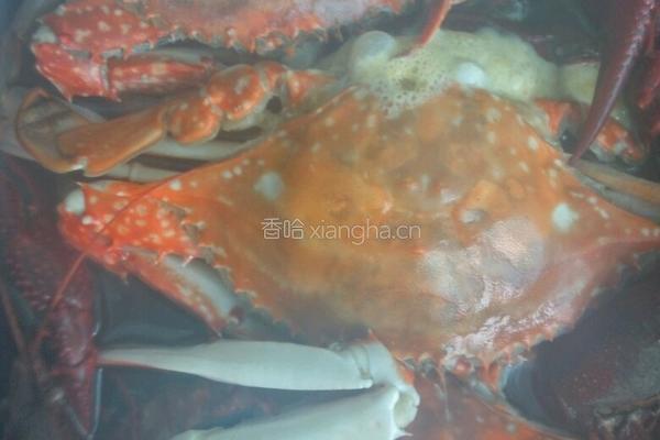 蒸螃蟹的做法图解5