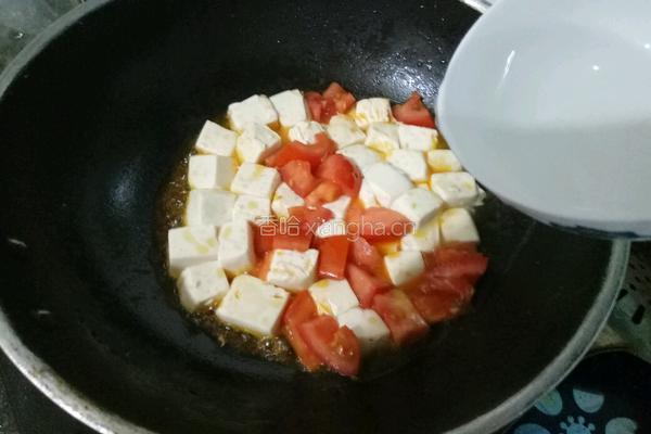 西红柿烧豆腐的做法图解7