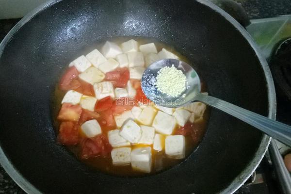 西红柿烧豆腐的做法图解9