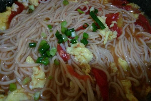 番茄鸡蛋面的做法图解8