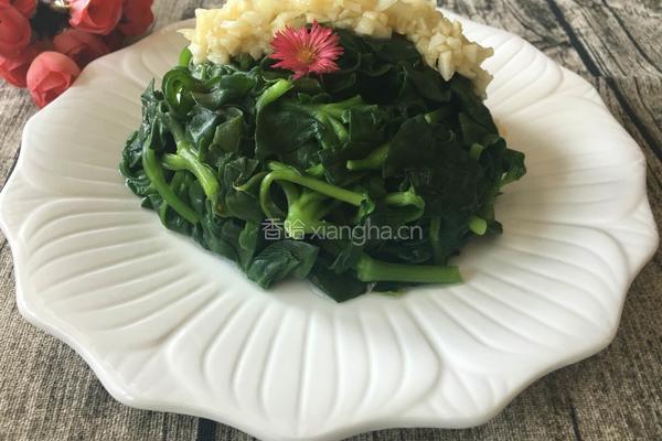 拌穿心莲的做法图解8