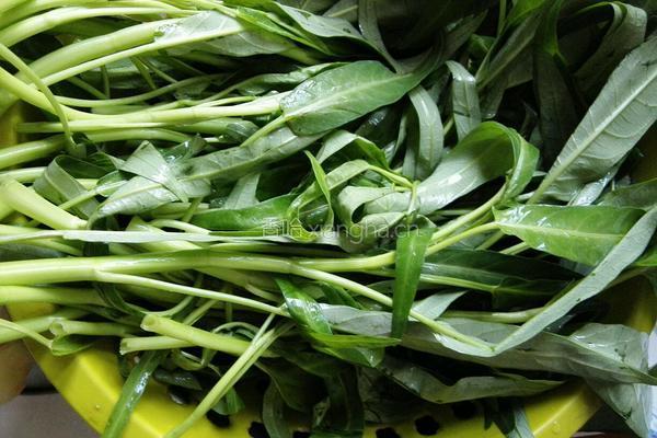 空心菜爆豆鼓的做法图解1