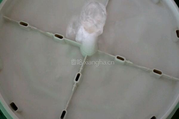 生绿豆芽的做法图解6
