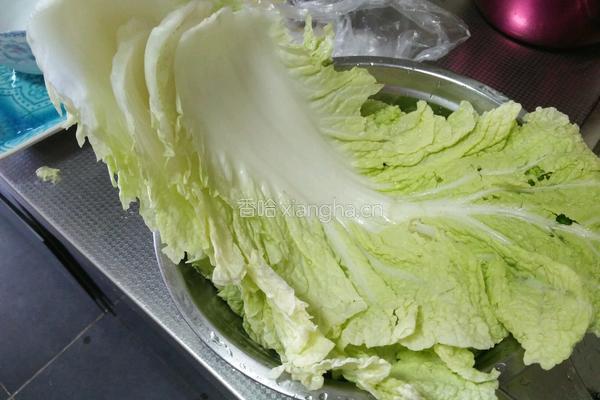 大白菜炖豆腐的做法图解1