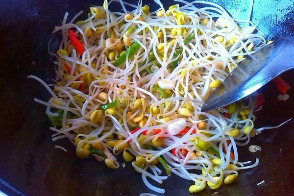 豆芽炖粉条的做法图解5