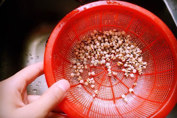 薏仁绿豆汤的做法图解1