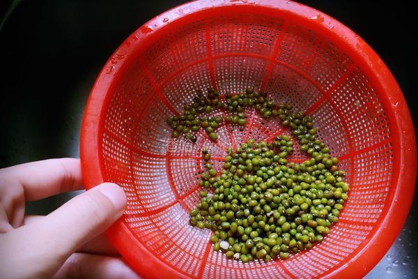 薏仁绿豆汤的做法图解3